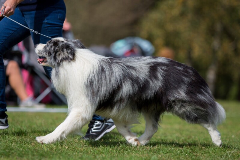 53_Heart-Breaker z Cernobilych_Ex4___1